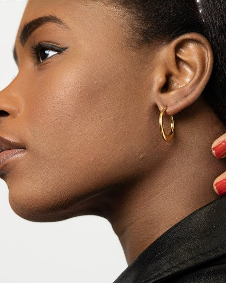 Hollow Hoops model